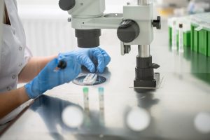 Leia mais sobre o artigo Criopreservação dos Óvulos